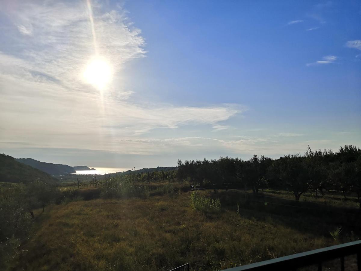 Saleto Apartma Jagodje Экстерьер фото
